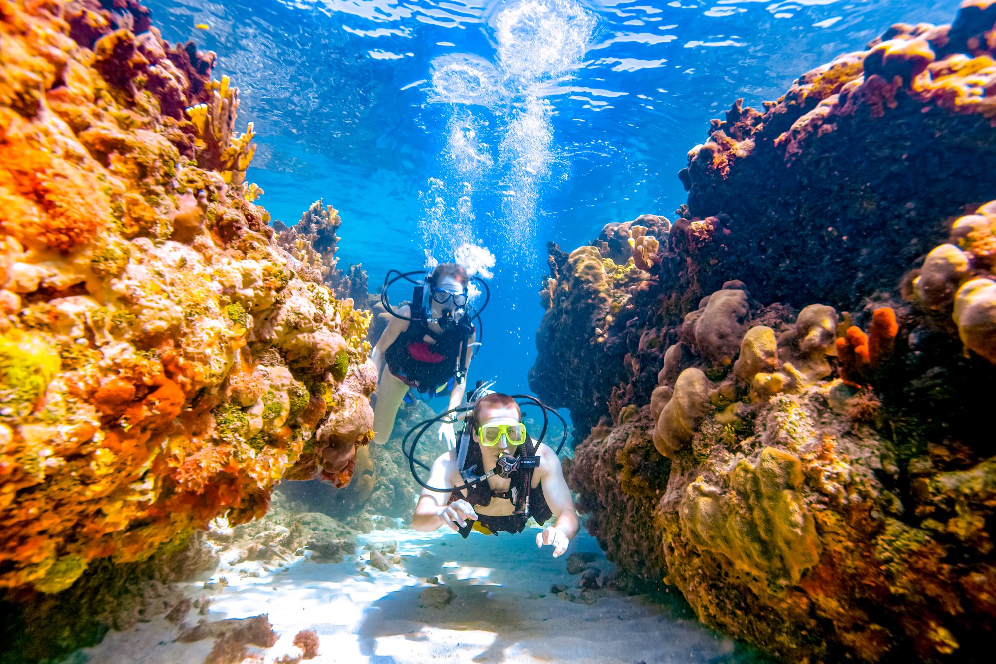 Are you ready to go scuba diving in Montego Bay? Here are the best spots for this aquatic adventure.
