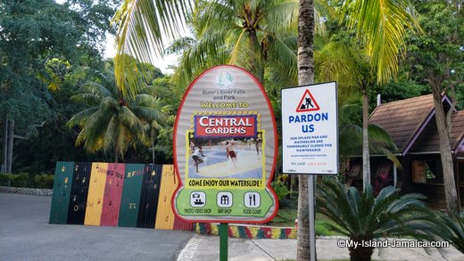 Majestic Dunns River Falls Jamaica | Jamaica's Most Popular Attraction