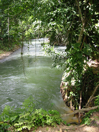 râuri în jamaica - martha brae rafting