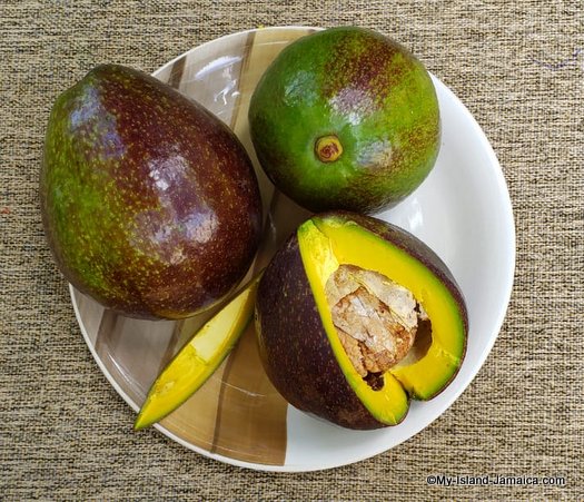 Jamaican Avocado | It’s history, Local Use & Amazing Health Benefits.