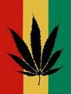 Marijuana in Jamaica - Should the good weed in Jamaica be legalized?